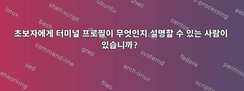 초보자에게 터미널 프로필이 무엇인지 설명할 수 있는 사람이 있습니까?