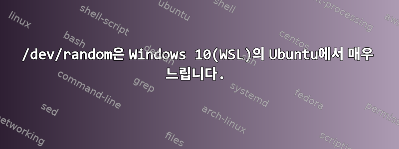 /dev/random은 Windows 10(WSL)의 Ubuntu에서 매우 느립니다.