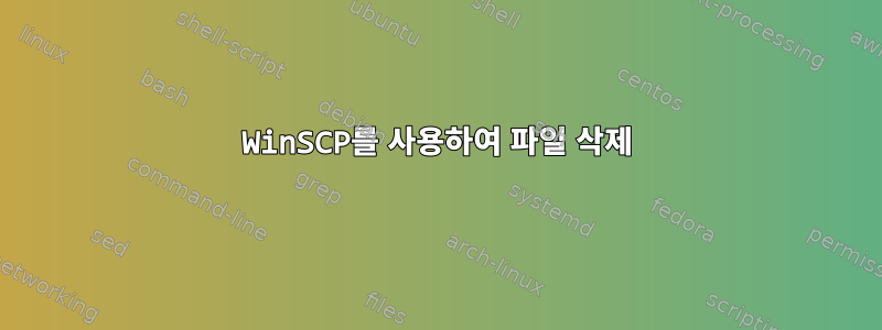 WinSCP를 사용하여 파일 삭제