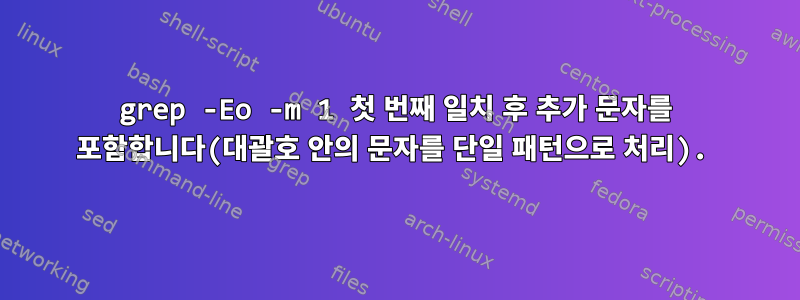 grep -Eo -m 1 첫 번째 일치 후 추가 문자를 포함합니다(대괄호 안의 문자를 단일 패턴으로 처리).