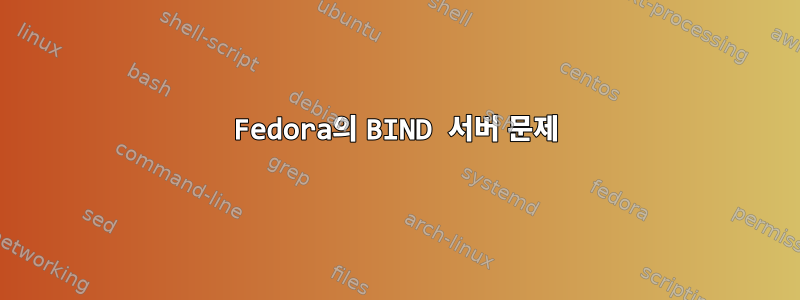 Fedora의 BIND 서버 문제