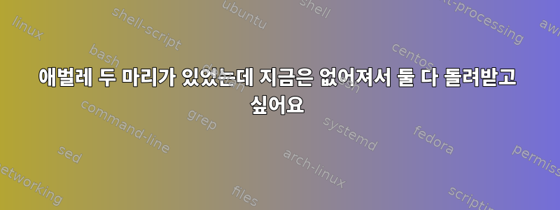 애벌레 두 마리가 있었는데 지금은 없어져서 둘 다 돌려받고 싶어요