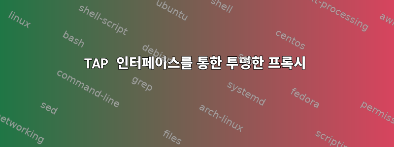 TAP 인터페이스를 통한 투명한 프록시