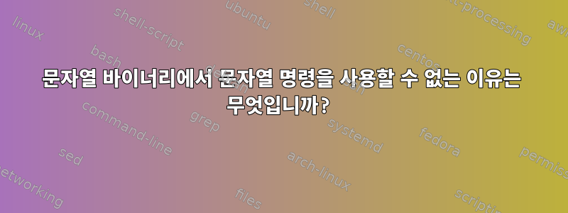 문자열 바이너리에서 문자열 명령을 사용할 수 없는 이유는 무엇입니까?