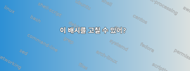 이 배시를 고칠 수 있어?