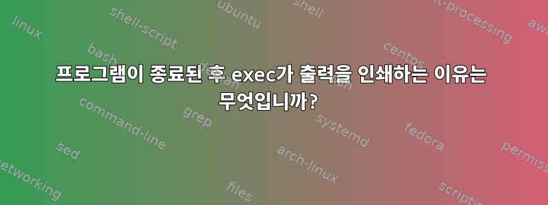 프로그램이 종료된 후 exec가 출력을 인쇄하는 이유는 무엇입니까?