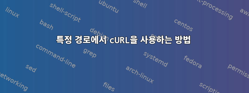 특정 경로에서 cURL을 사용하는 방법