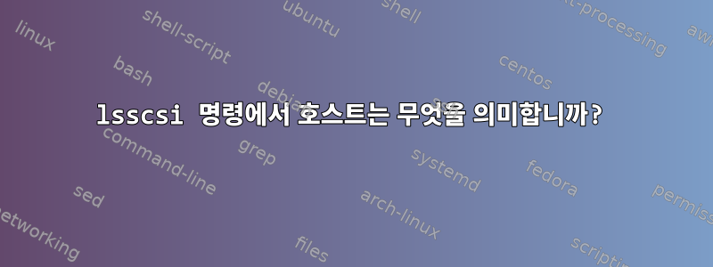 lsscsi 명령에서 호스트는 무엇을 의미합니까?