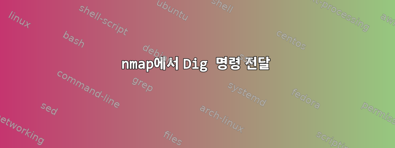 nmap에서 Dig 명령 전달