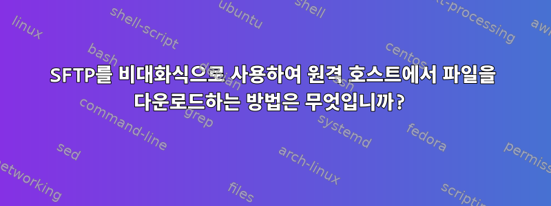 SFTP를 비대화식으로 사용하여 원격 호스트에서 파일을 다운로드하는 방법은 무엇입니까?