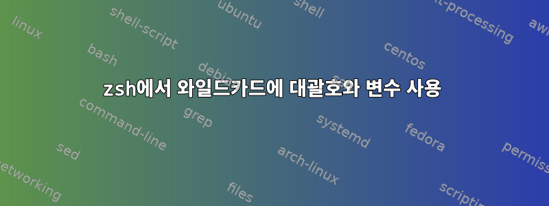 zsh에서 와일드카드에 대괄호와 변수 사용