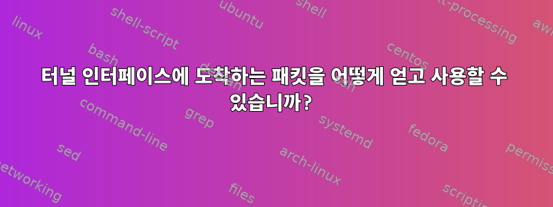 터널 인터페이스에 도착하는 패킷을 어떻게 얻고 사용할 수 있습니까?