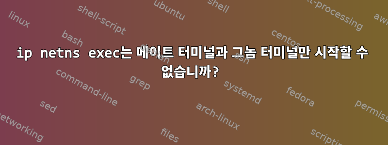 ip netns exec는 메이트 터미널과 그놈 터미널만 시작할 수 없습니까?