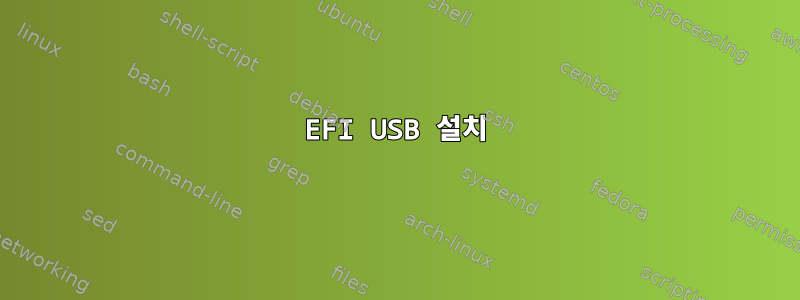 EFI USB 설치