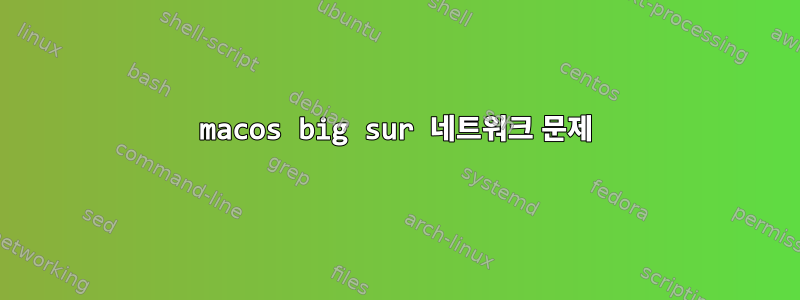 macos big sur 네트워크 문제