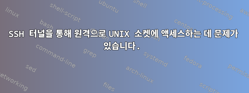 SSH 터널을 통해 원격으로 UNIX 소켓에 액세스하는 데 문제가 있습니다.