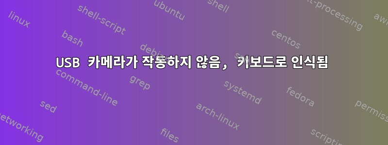 USB 카메라가 작동하지 않음, 키보드로 인식됨