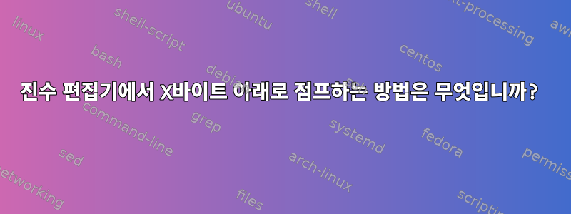 16진수 편집기에서 X바이트 아래로 점프하는 방법은 무엇입니까?