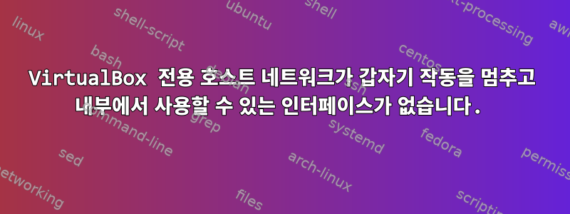 VirtualBox 전용 호스트 네트워크가 갑자기 작동을 멈추고 내부에서 사용할 수 있는 인터페이스가 없습니다.