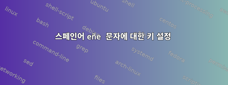 스페인어 eñe 문자에 대한 키 설정