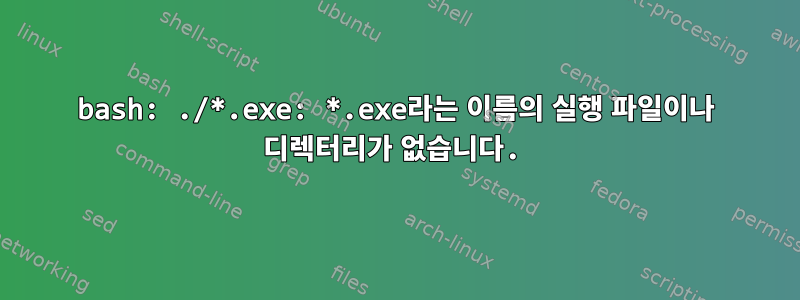 bash: ./*.exe: *.exe라는 이름의 실행 파일이나 디렉터리가 없습니다.