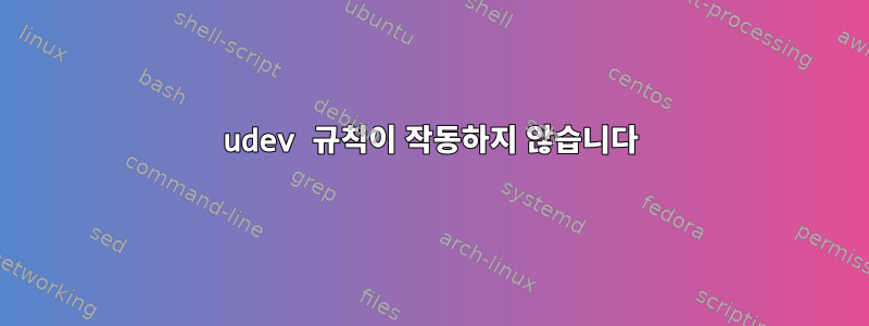 udev 규칙이 작동하지 않습니다