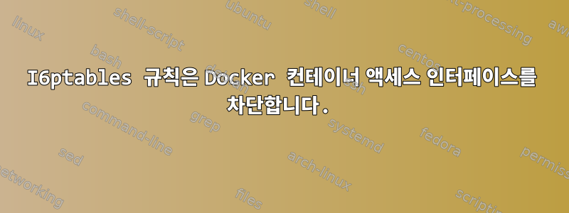 I6ptables 규칙은 Docker 컨테이너 액세스 인터페이스를 차단합니다.