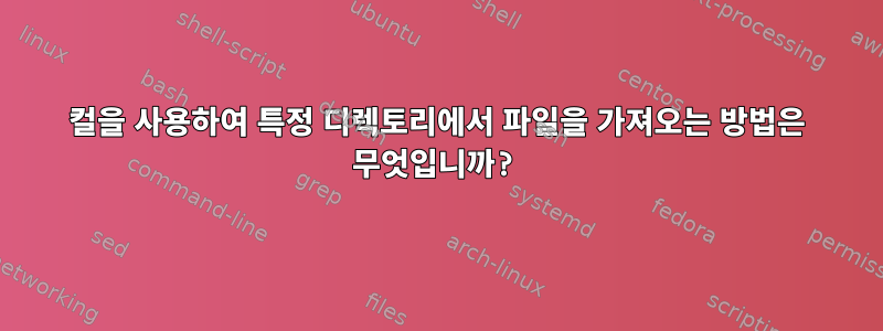 컬을 사용하여 특정 디렉토리에서 파일을 가져오는 방법은 무엇입니까?