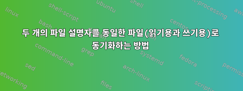 두 개의 파일 설명자를 동일한 파일(읽기용과 쓰기용)로 동기화하는 방법