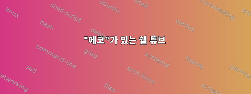 "에코"가 있는 쉘 튜브