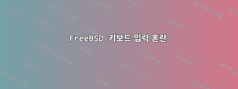 FreeBSD 키보드 입력 혼란