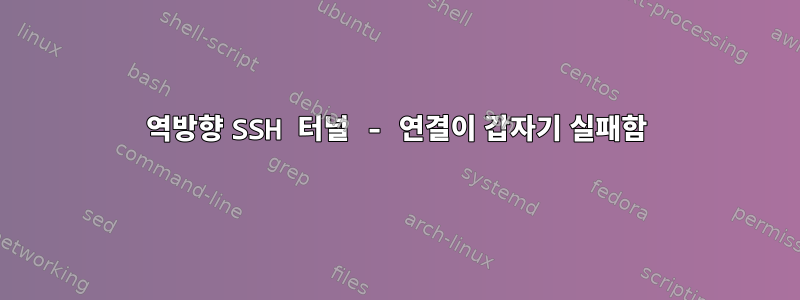 역방향 SSH 터널 - 연결이 갑자기 실패함