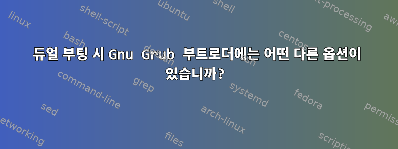 듀얼 부팅 시 Gnu Grub 부트로더에는 어떤 다른 옵션이 있습니까?