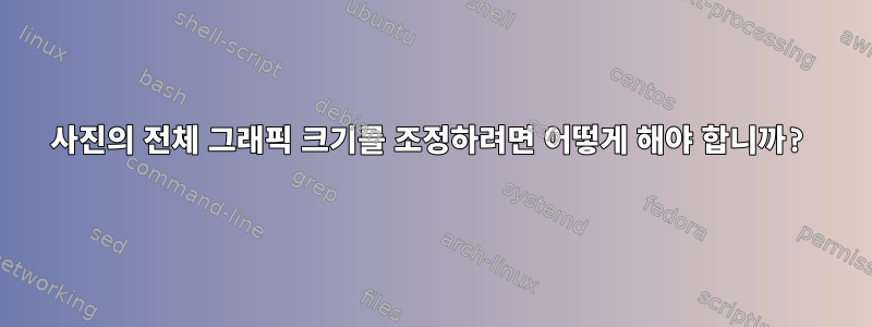 사진의 전체 그래픽 크기를 조정하려면 어떻게 해야 합니까?