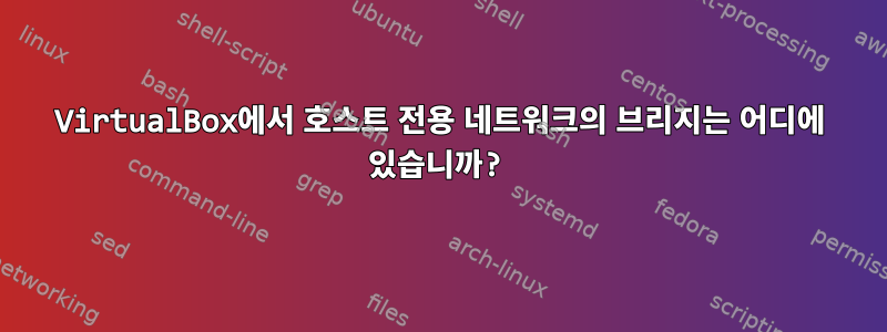 VirtualBox에서 호스트 전용 네트워크의 브리지는 어디에 있습니까?