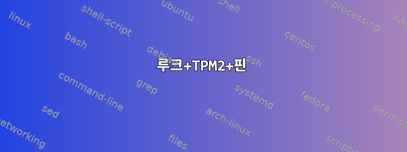 루크+TPM2+핀