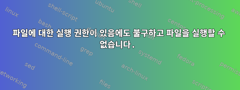 파일에 대한 실행 권한이 있음에도 불구하고 파일을 실행할 수 없습니다.