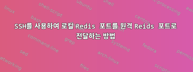 SSH를 사용하여 로컬 Redis 포트를 원격 Reids 포트로 전달하는 방법