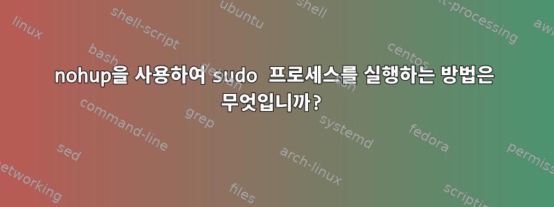 nohup을 사용하여 sudo 프로세스를 실행하는 방법은 무엇입니까?