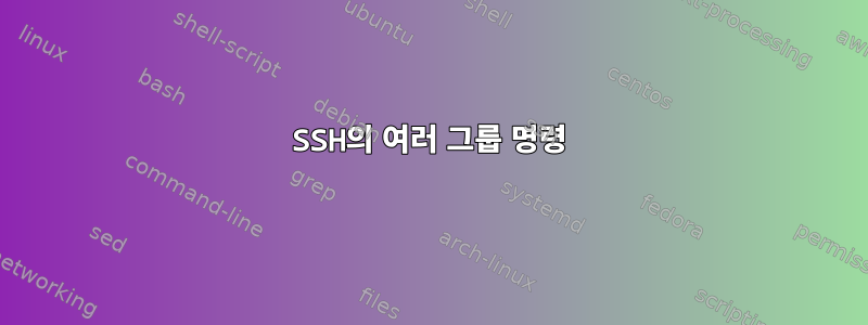 SSH의 여러 그룹 명령