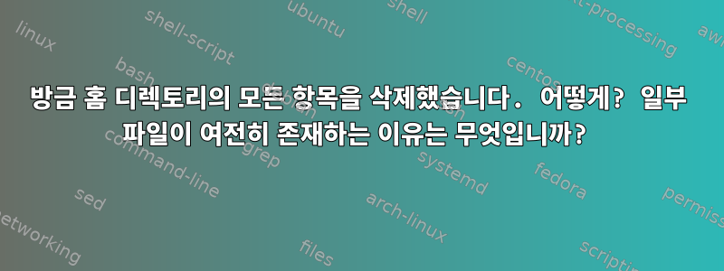 방금 홈 디렉토리의 모든 항목을 삭제했습니다. 어떻게? 일부 파일이 여전히 존재하는 이유는 무엇입니까?