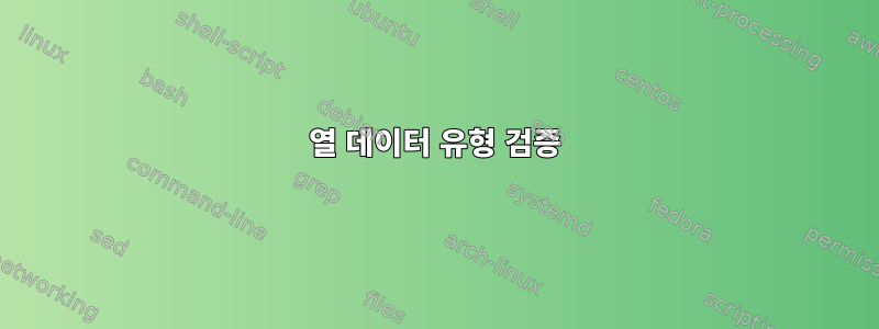 열 데이터 유형 검증