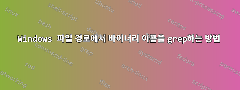 Windows 파일 경로에서 바이너리 이름을 grep하는 방법