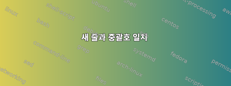 새 줄과 중괄호 일치