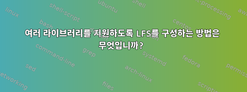 여러 라이브러리를 지원하도록 LFS를 구성하는 방법은 무엇입니까?