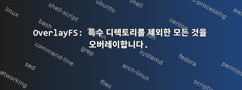 OverlayFS: 특수 디렉토리를 제외한 모든 것을 오버레이합니다.