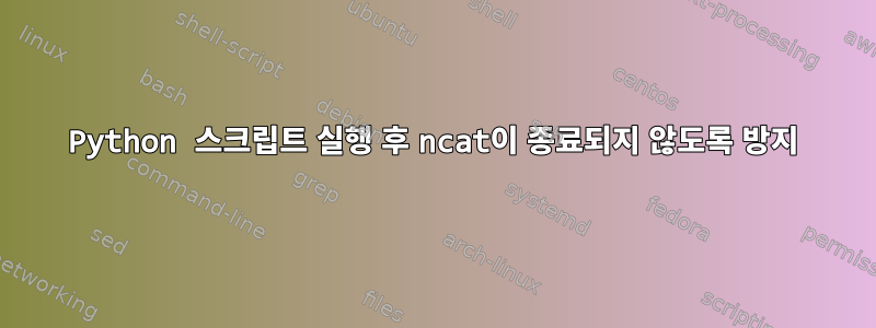 Python 스크립트 실행 후 ncat이 종료되지 않도록 방지