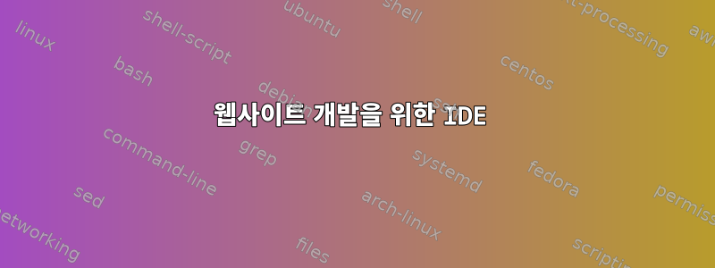 웹사이트 개발을 위한 IDE