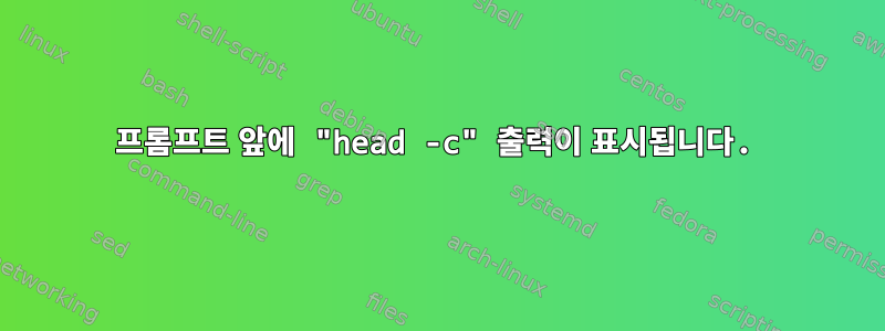 프롬프트 앞에 "head -c" 출력이 표시됩니다.