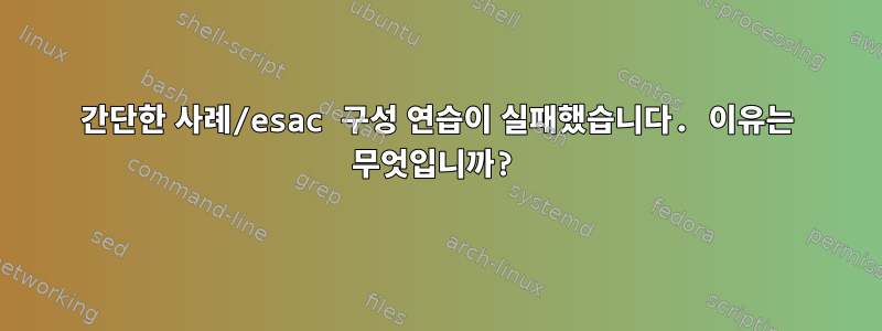 간단한 사례/esac 구성 연습이 실패했습니다. 이유는 무엇입니까?